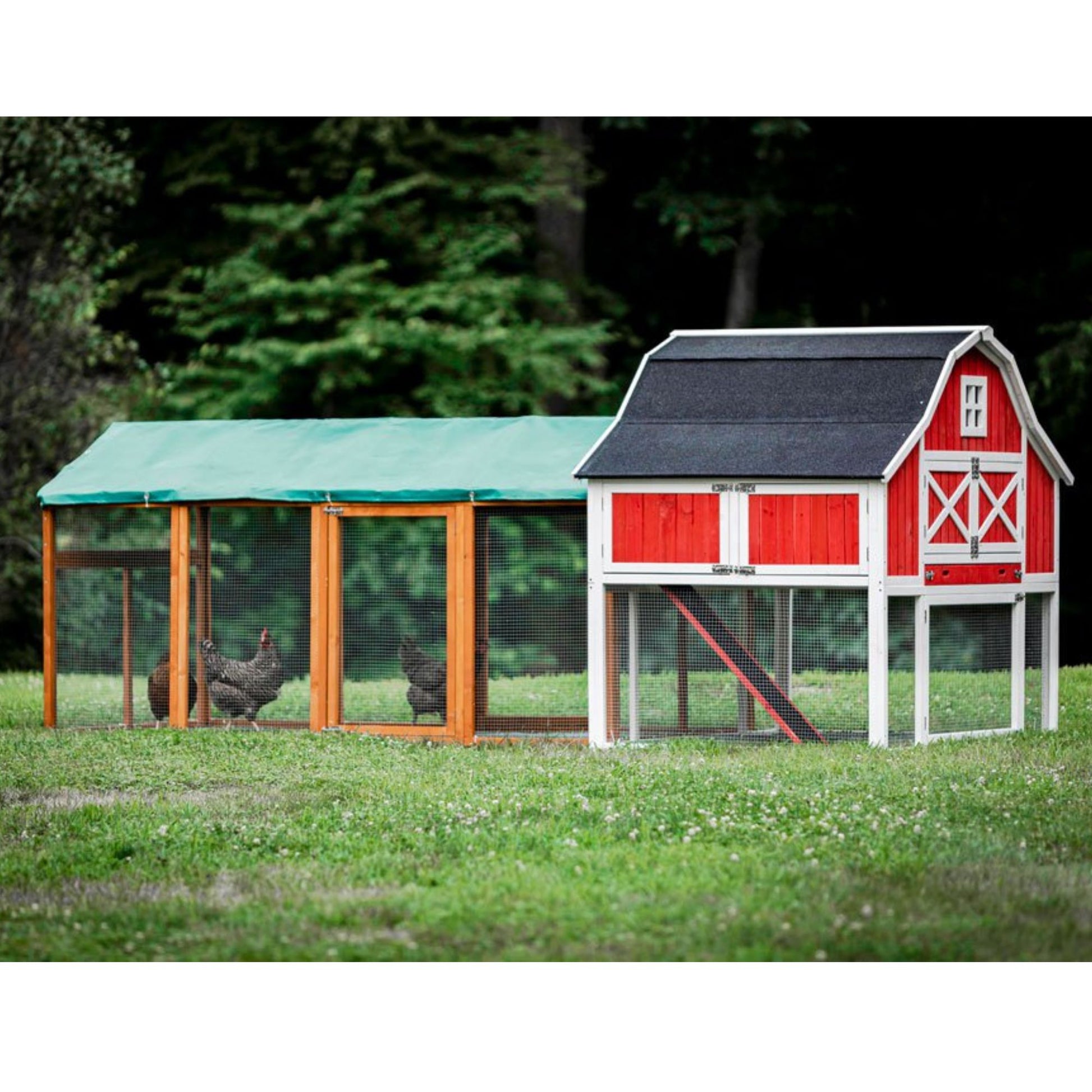 The Gambrel Roof Coop XL has an optional covered run to give your birds more space that can be added onto and connected for even more space. 