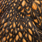 Golden Laced Wyandotte chicken feathers