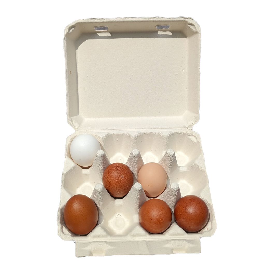 Large Blank Flat Top Chicken Egg Cartons, 100 Pack by Stromberg's