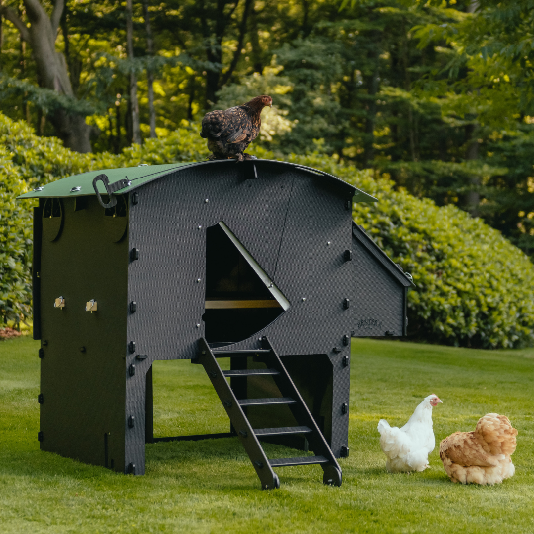 The Raised Coop by Nestera has a 25-year manufacturer's warranty.