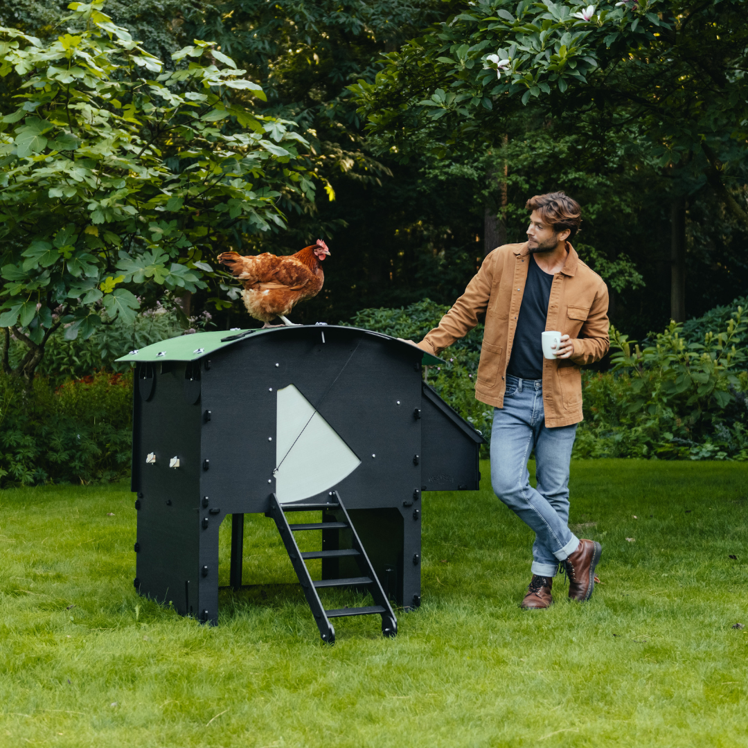 This Raised Coop by Nestera is made of 100% recycled plastic with a nearly zero waste process.