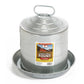 Little Giant Double-Wall Fountain Poultry & Chicken Waterer