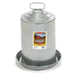 Little Giant Double-Wall Fountain Poultry & Chicken Waterer