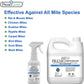 Mite Killer Spray | Natural & Non-Toxic | Premo Guard