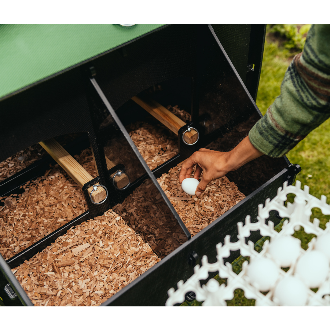 Nestera Penthouse Coop and Run Bundle