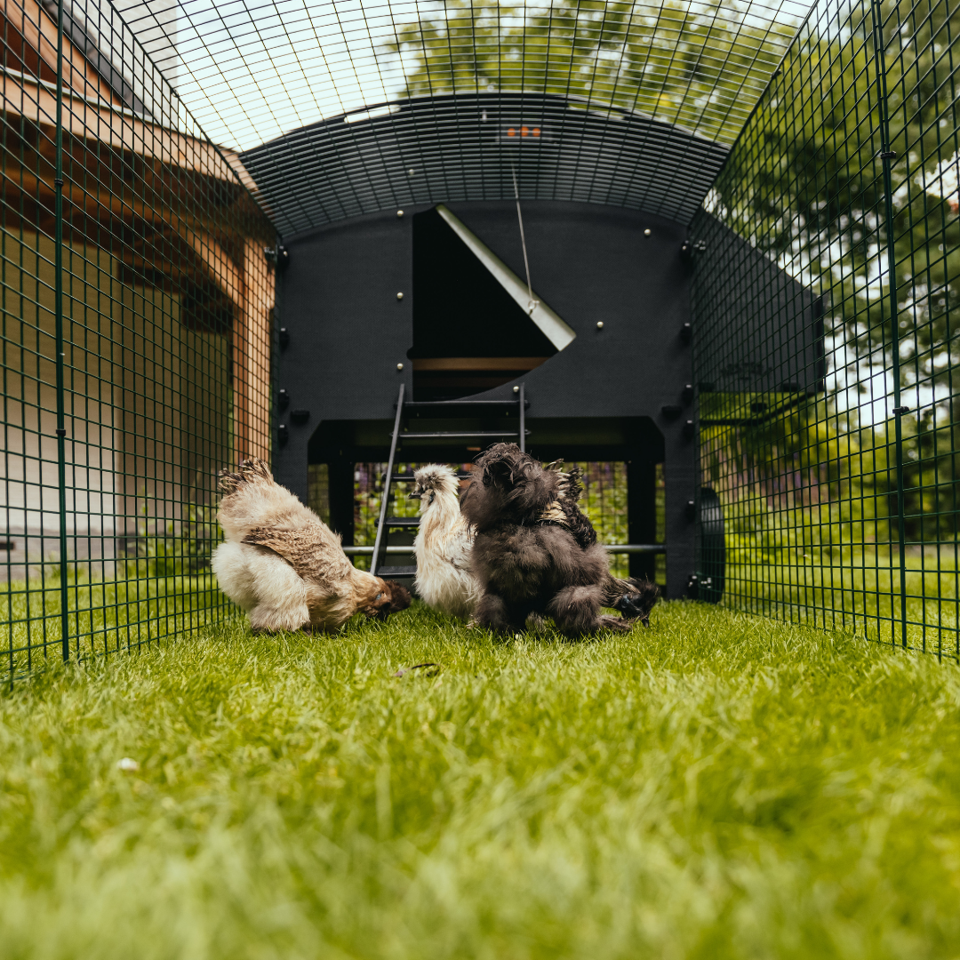 Nestera Penthouse Coop and Run Bundle