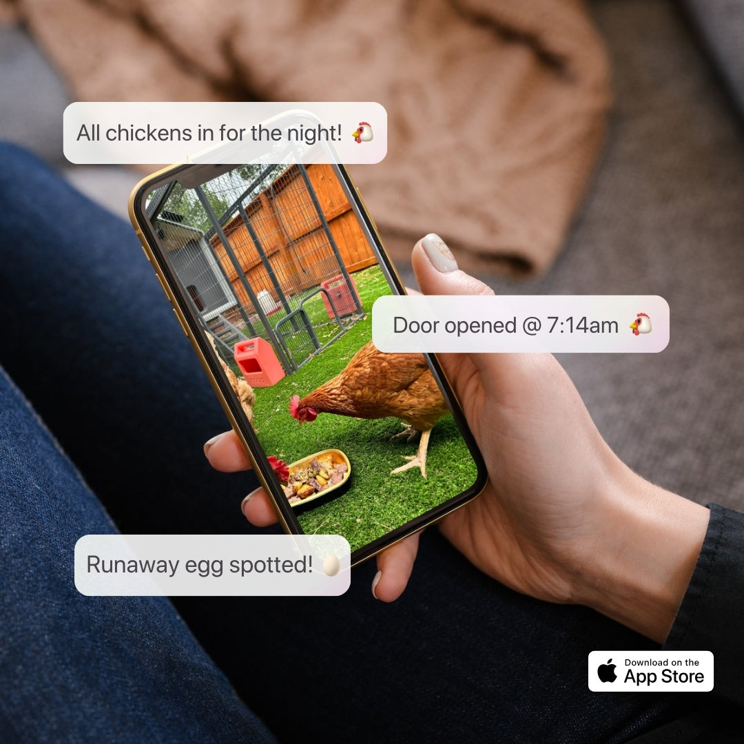 The Smart Coop + Base (4-6 chickens)