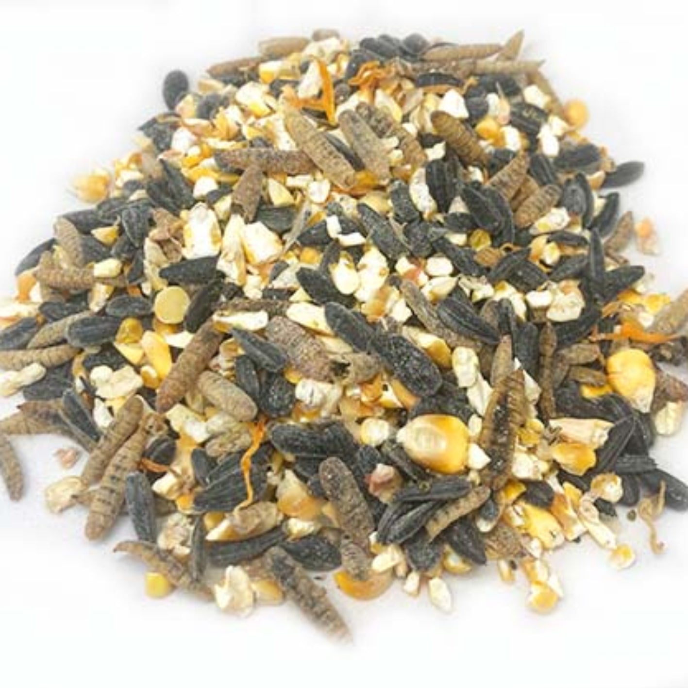 Omega Burst: Omega Rich Treat For Great Eggs & Feathers!
