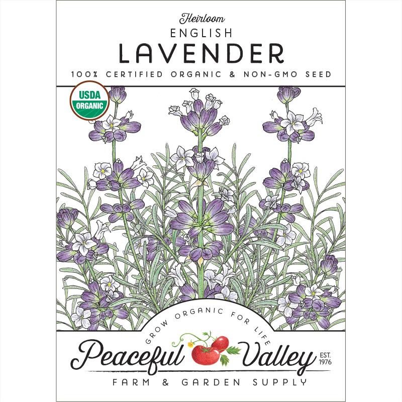 heirloom lavender seeds English-Vera Lavender Seeds (Organic)