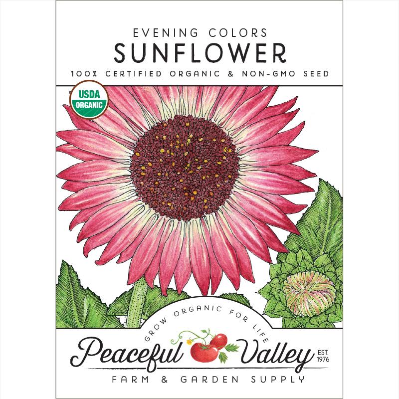 Evening Colors Sunflower Seeds (Organic) - My Pet Chicken