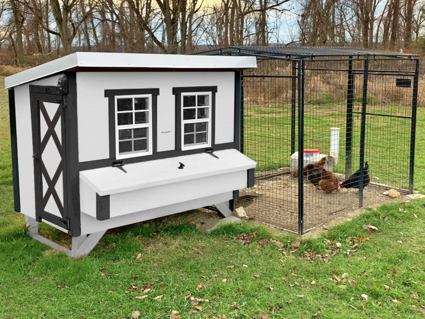 White Farmhouse OverEZ Chicken Coop with attached run