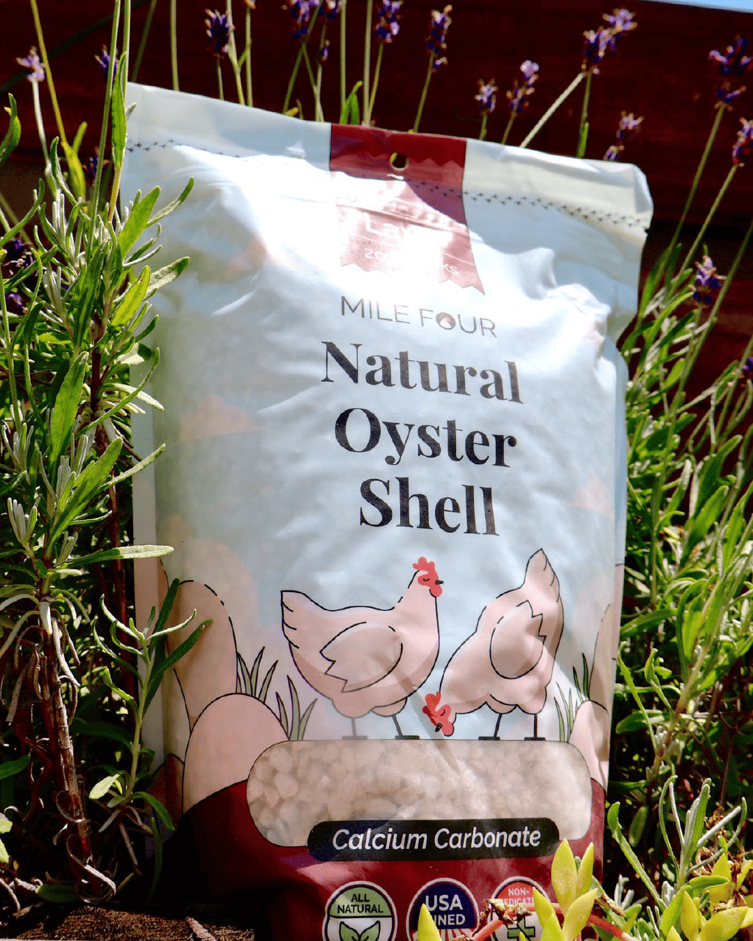 Mile Four Oyster Shell