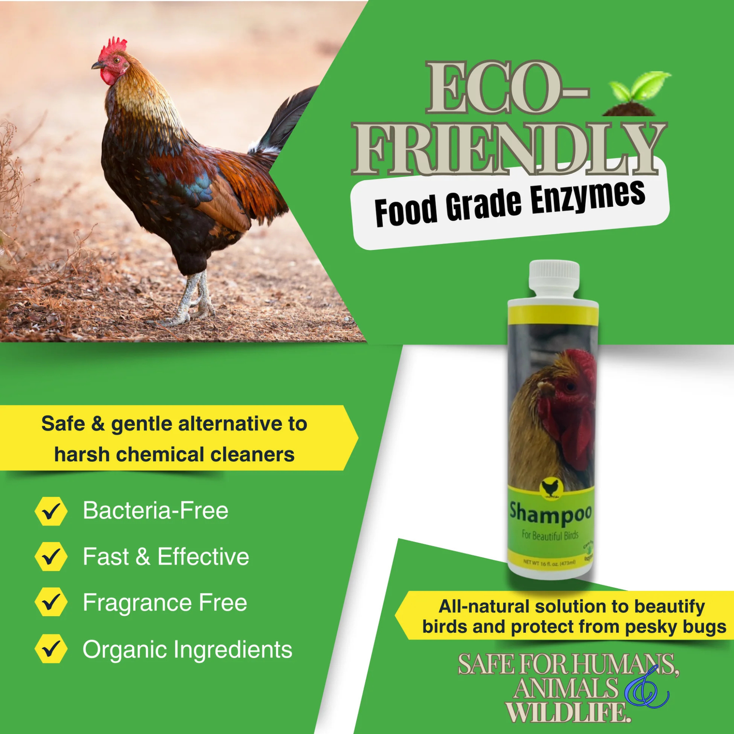 Show Chicken Grooming Set – Poultry Shampoo, Feather Rinse and Comb & Wattle Ointment