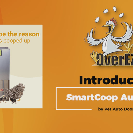 OverEZ SmartCoop Automatic Chicken Door information video 