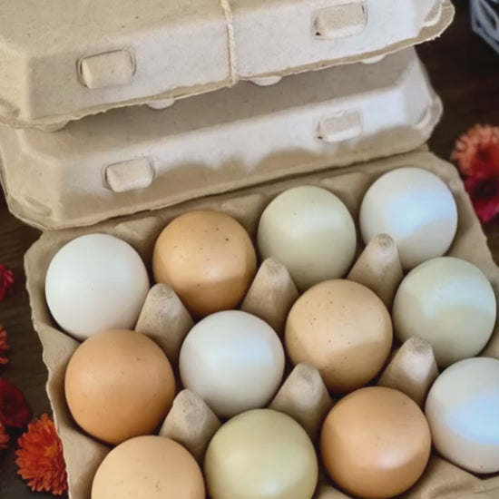 3x4 vintage egg cartons for sale at My Pet Chicken.