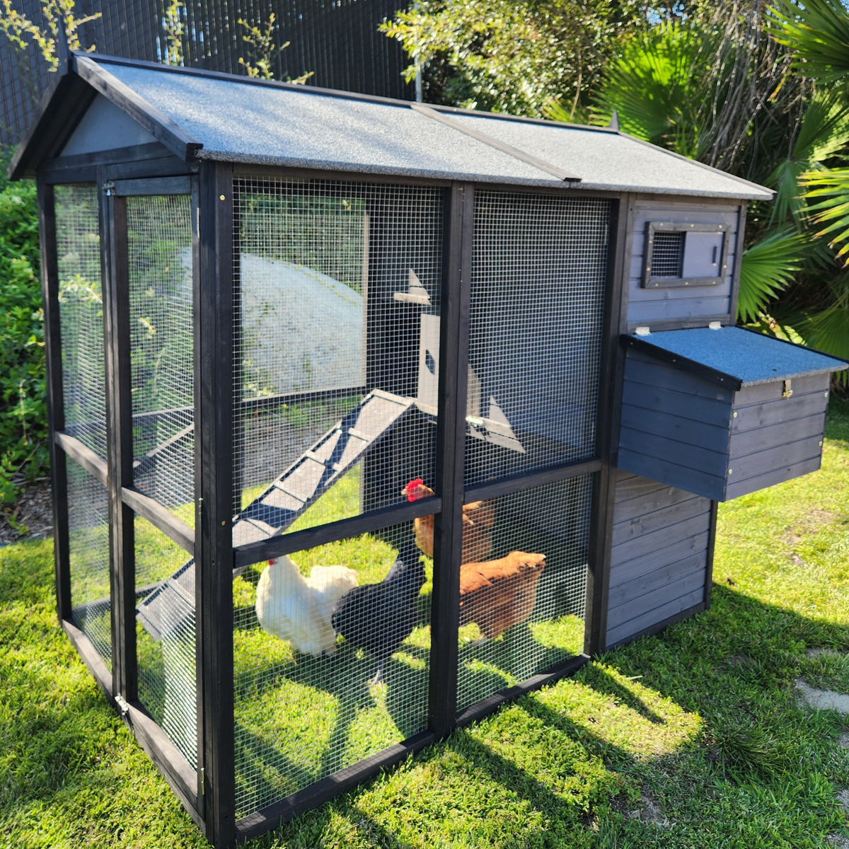 Pueblo Grande Chicken Coop, Grey & Black