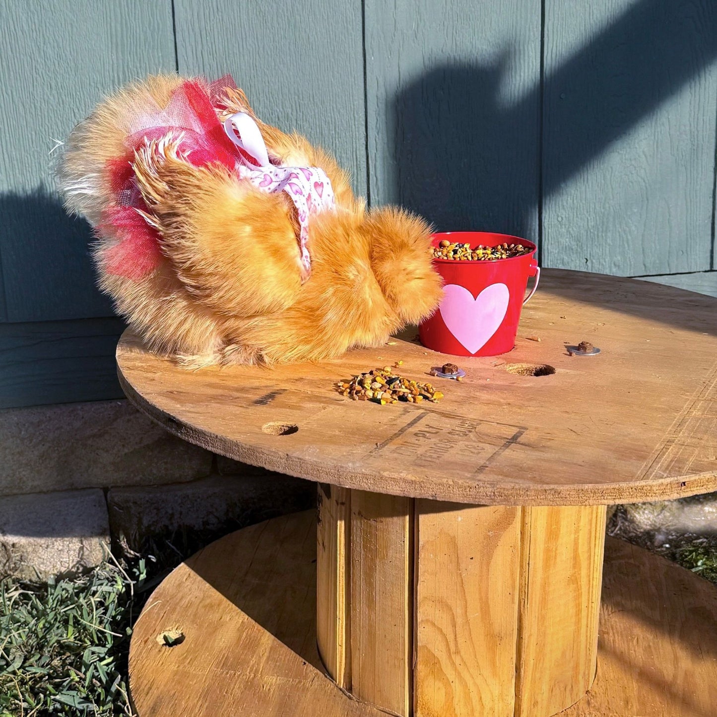 Chicken Tutu (So many colors & sizes!)