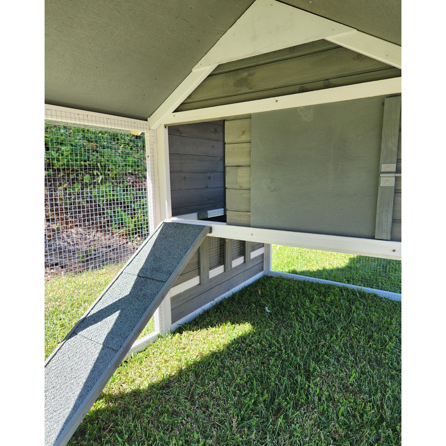 Raised Wooden Chicken Coop, Sage (4-6 chickens)