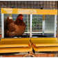 Rugg"EGG" Roll Back Nesting Box