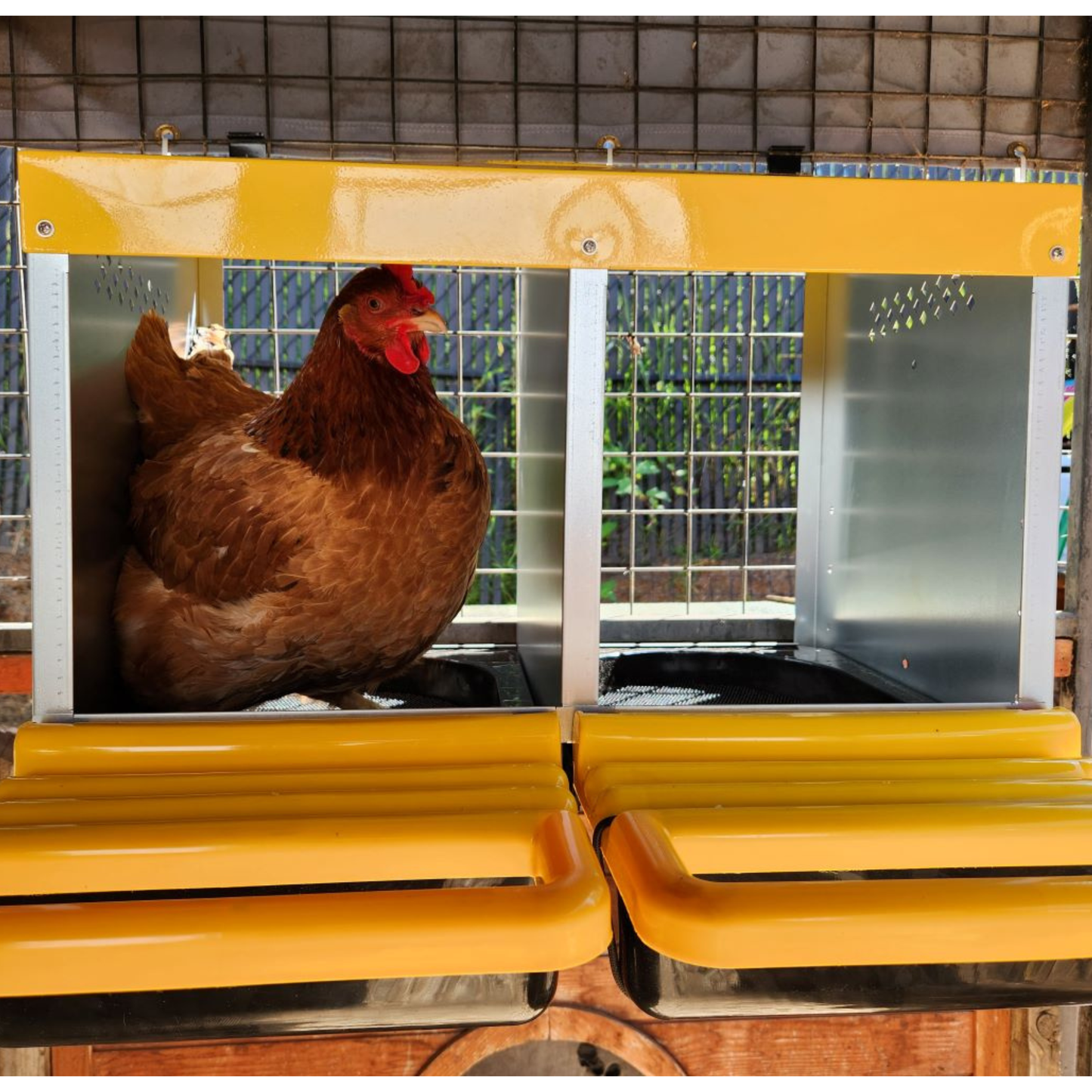 Rugg"EGG" Roll Back Nesting Box