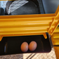 Rugg"EGG" Roll Back Nesting Box