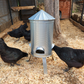 Rugged Ranch Silo Feeder, 20 lbs