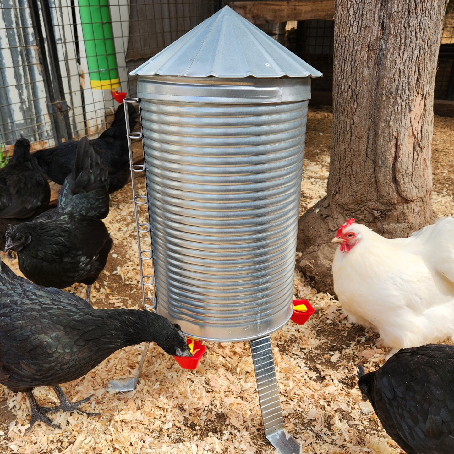 Rugged Ranch Silo Waterer, 3.5 gal