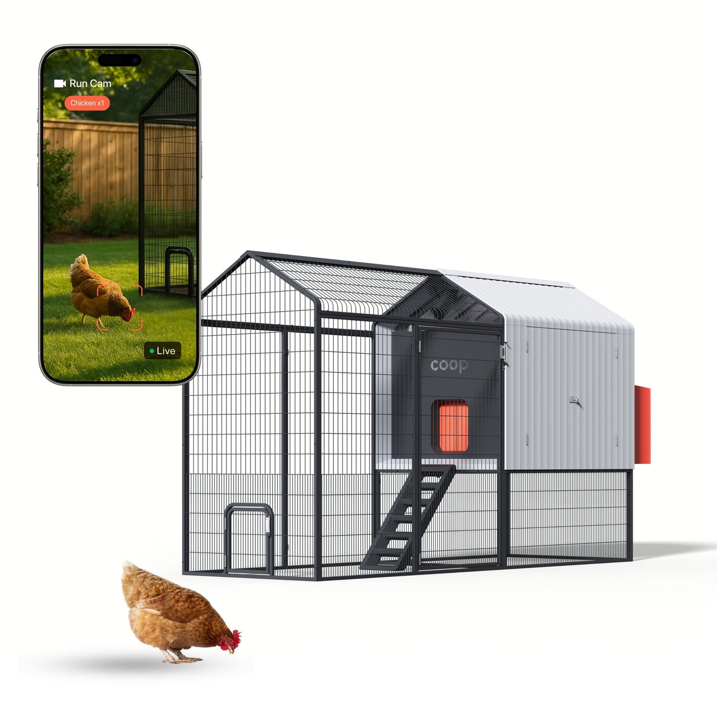 The Smart Coop + Steel Run (4-6 chickens)