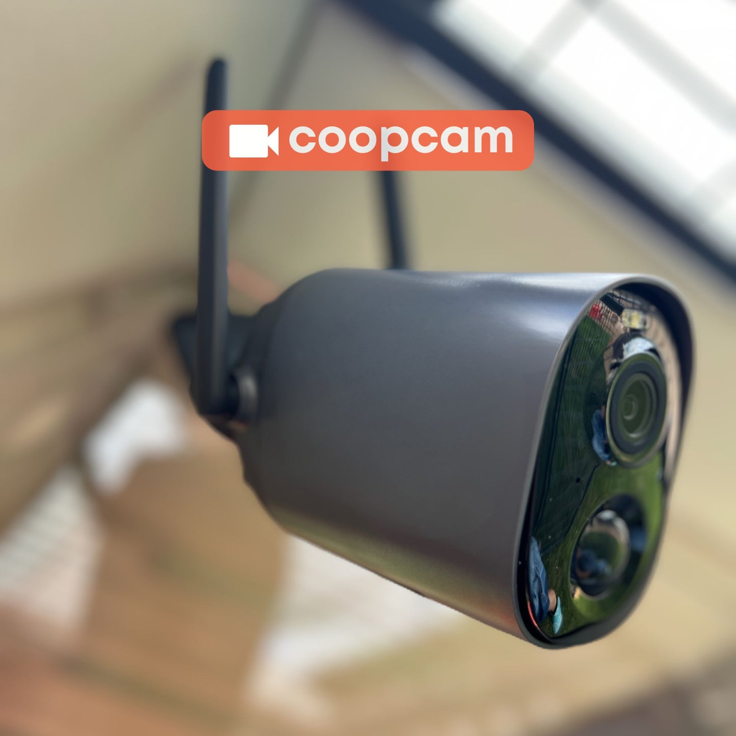 The Smart Coop cameras include night vision and a spotlight. 