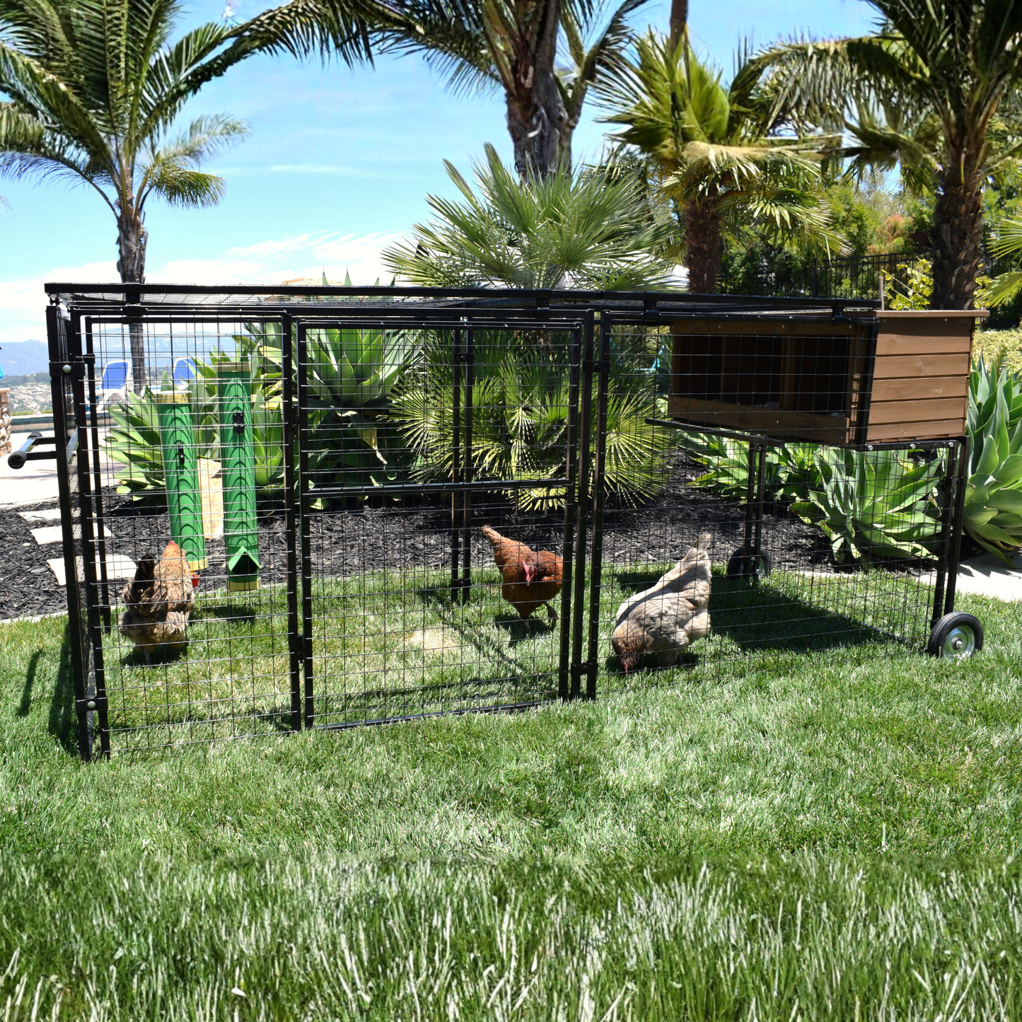 Spring Fling Mobile Chicken Coop (up to 9 chickens) - My Pet Chicken
