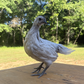 Pullet: Midnight Duo (2 Started Pullets), Shipping week of 08/31/2026