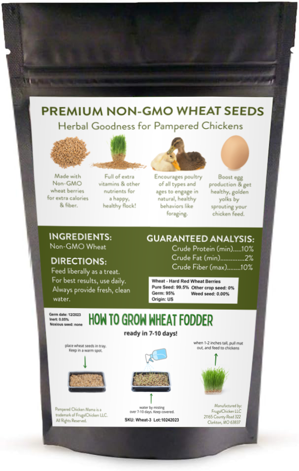 best grass seed to plant for chickens Non-GMO Wheat Seeds for Sprouting Fodder (Wheat Grass) -- Sustainably