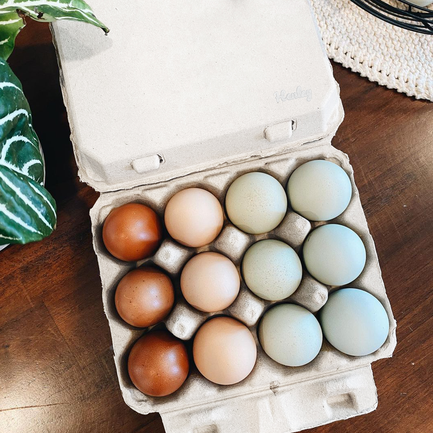 Henlay Vintage Blank Egg Cartons, Classic 3x4 Design, 2 Colors, 25, 65, 75, or 200 Pack