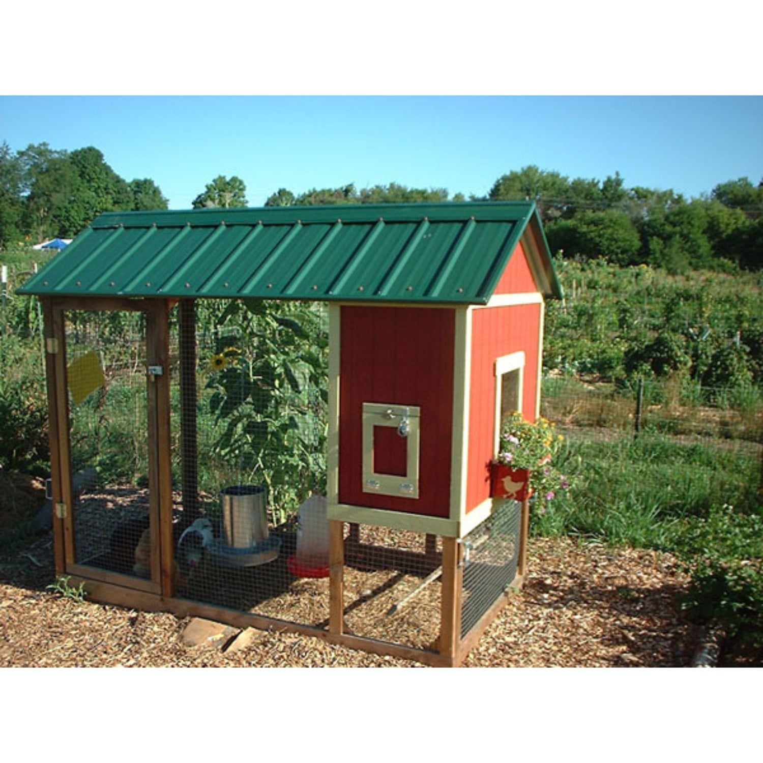 4x8 House Building Plans (4-5 chickens)