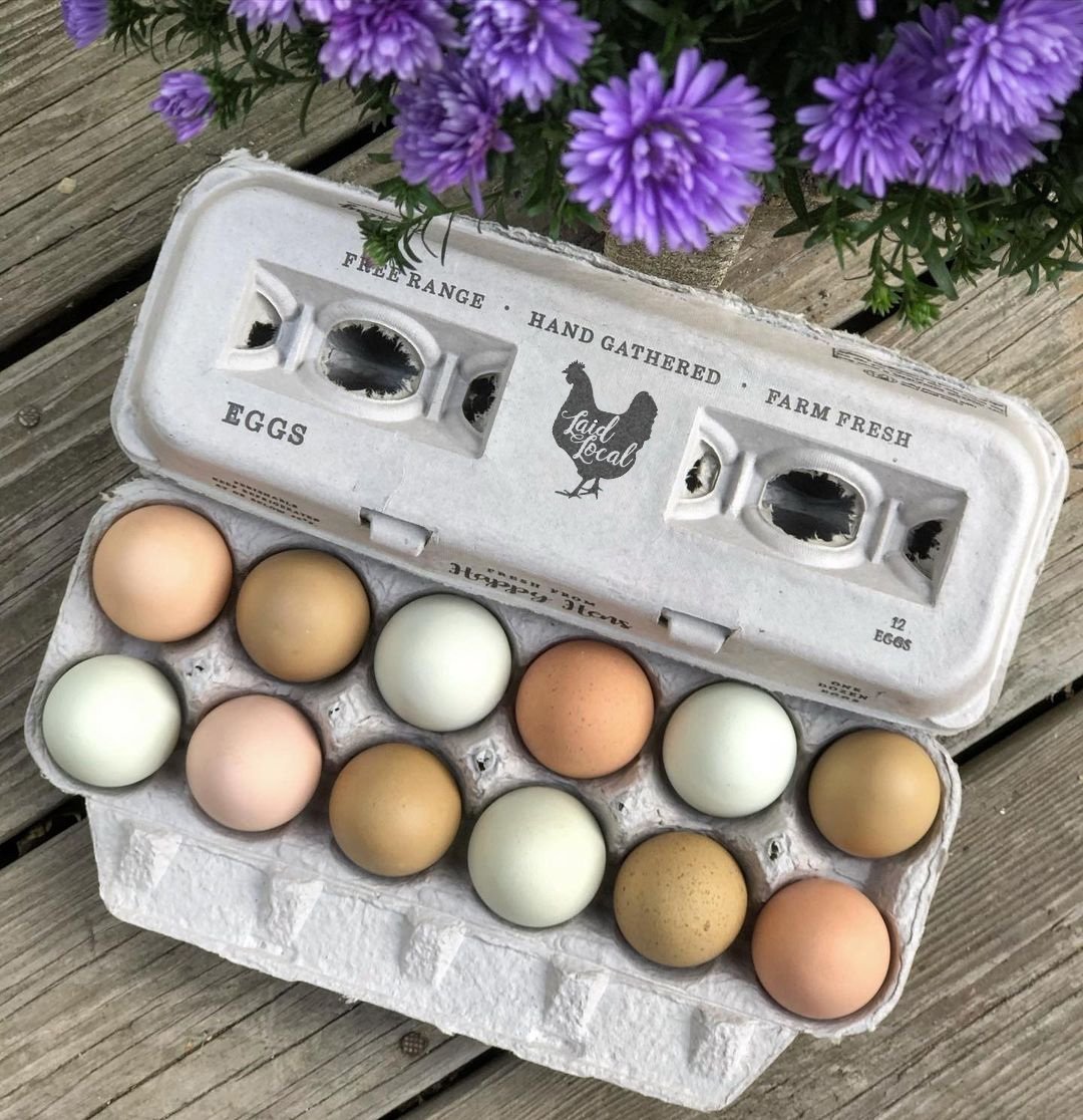 Henlay Laid Local Egg Cartons- Adorable Printed Vintage Design- 25, 90, or 250 - 25