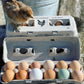 Henlay Laid Local Egg Cartons- Adorable Printed Vintage Design- 25, 90, or 250