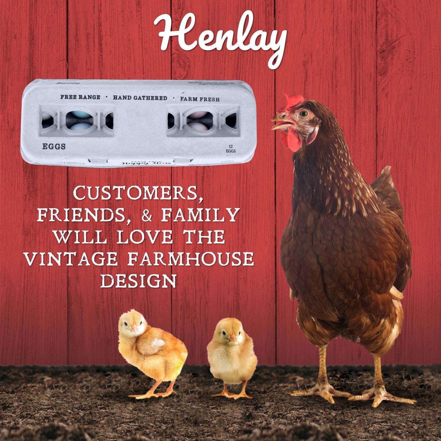 Henlay Blank Stamping Egg Cartons - 25, 90, or 250, 90 | My Pet Chicken