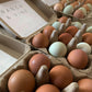 Henlay Vintage Blank Egg Cartons, Classic 3x4 Design, 2 Colors, 25, 65, 75, or 200 Pack