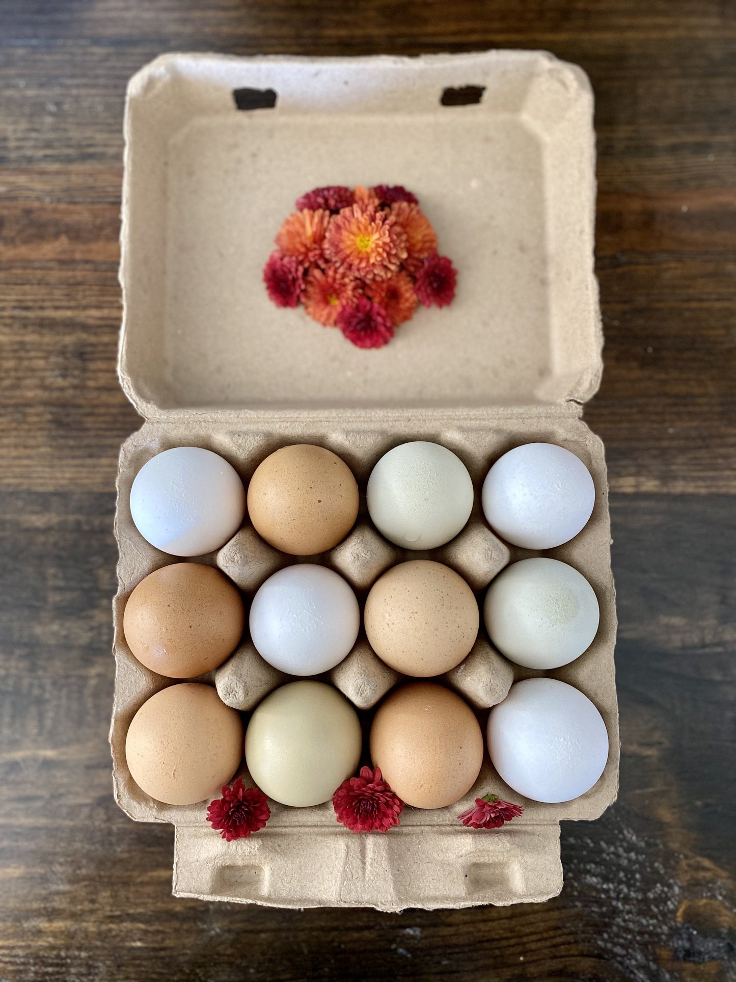 Henlay Vintage Blank Egg Cartons, Classic 3x4 Design, 2 Colors, 25, 65, 75, or 200 Pack