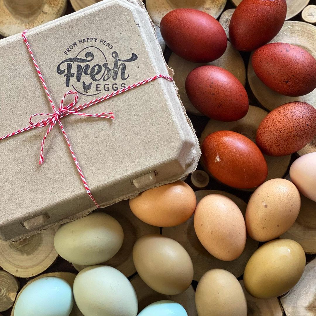 Henlay Vintage Blank Egg Cartons, Classic 3x4 Design, 2 Colors, 25, 65, 75, or 200 Pack