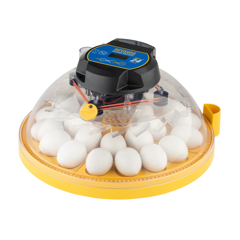Brinsea Maxi 24 Advance EX Fully Automatic Digital Incubator (24 eggs)