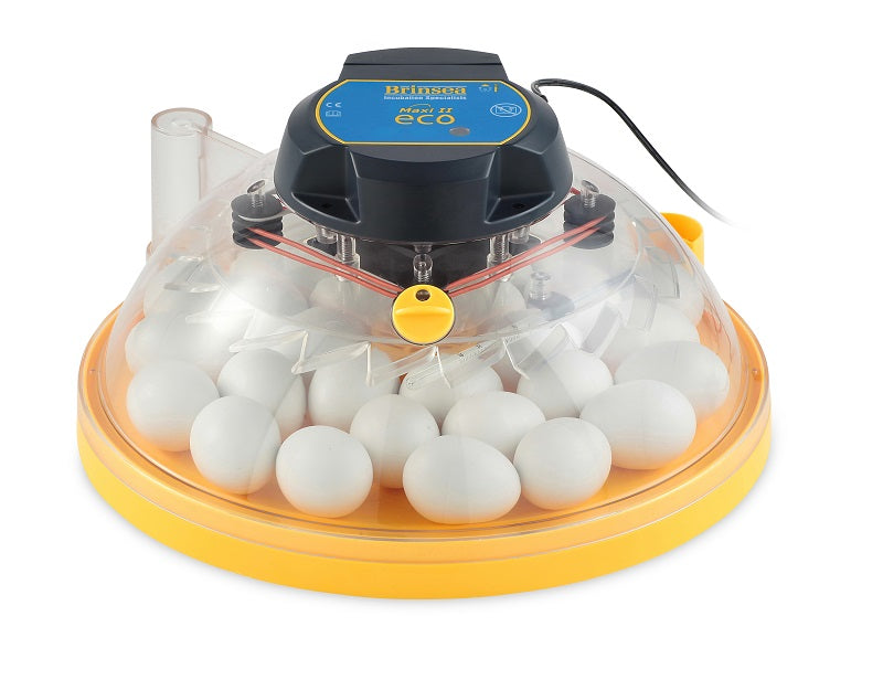 Brinsea Maxi II Eco Manual Incubator (30 Eggs)