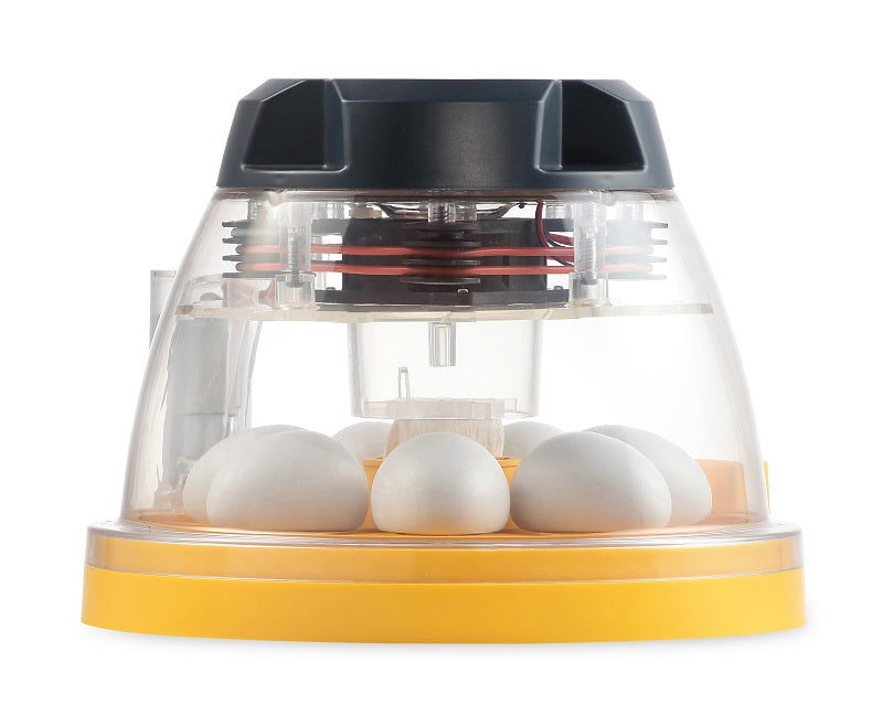 Brinsea Mini II Ex Incubator (7 Eggs)