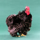 Black Frizzle Cochin bantam rooster