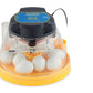 The Brinsea Mini II Eco holds up to 10 chicken eggs. 