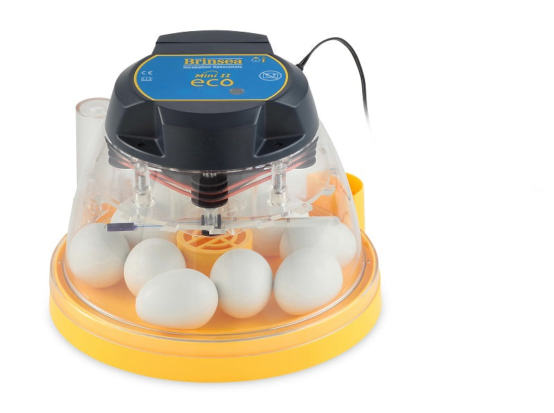 The Brinsea Mini II Eco holds up to 10 chicken eggs. 