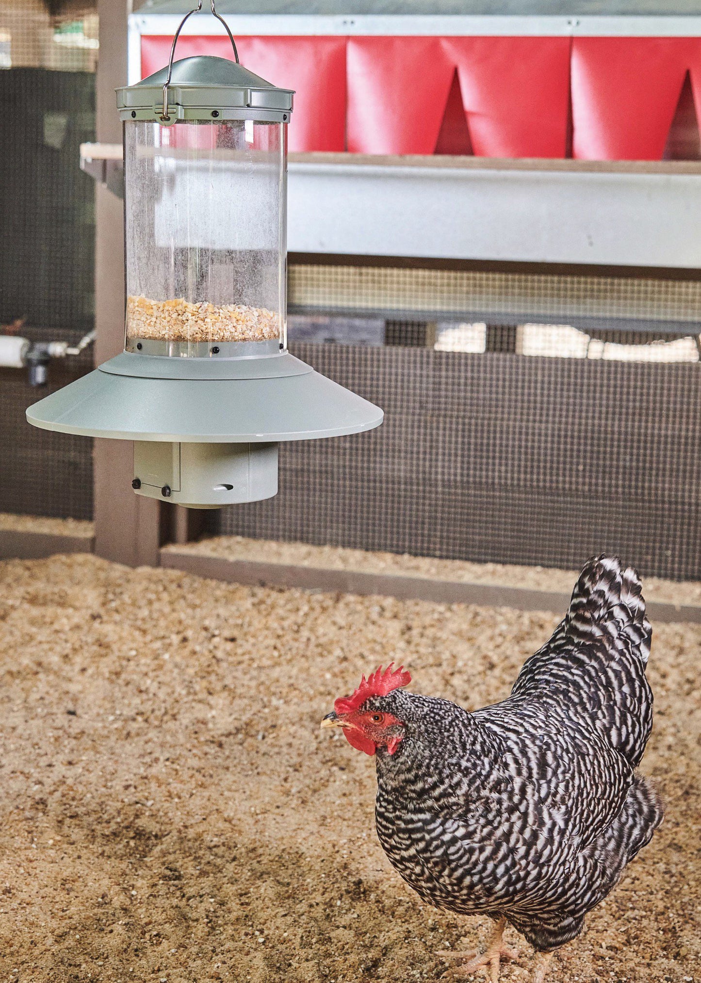 Automatic Chicken Feeder & Treat Dispenser, 1 Gallon