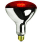 Infrared Heat Lamp Bulb, Red