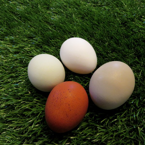 Zhengmy 12 Pcs Chickens Nesting Pads Set Nest Box Bedding Washable Nesting Pads For Chicken Coop, Artificial Grass Rug Carpet Synthetic Turf Mat, 12 X