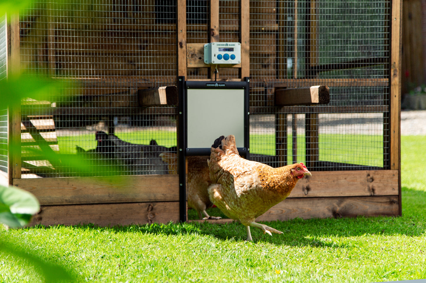 Chicken Guard Automatic Chicken Coop Door